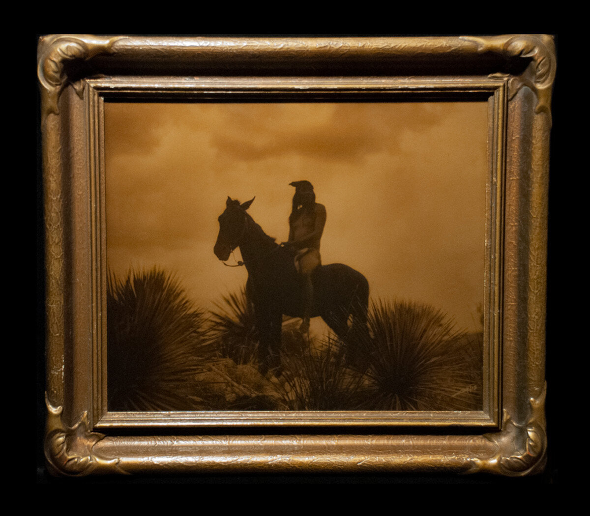 Edward S. Curtis - The Scout